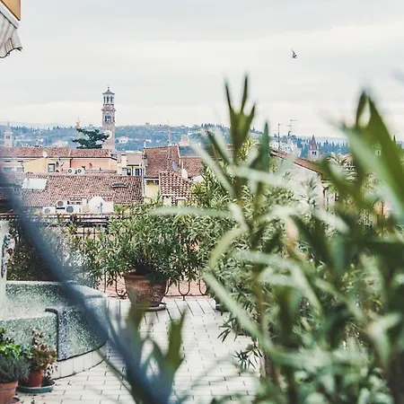 Terrazza *