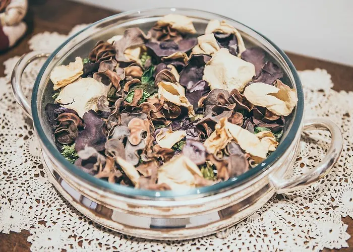 Alla Terrazza Lejlighed *