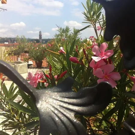 Lejlighed Alla Terrazza *