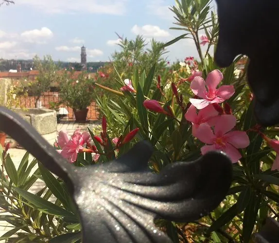 Appartement Terrazza *