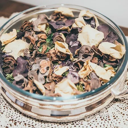 Terrazza アパート *